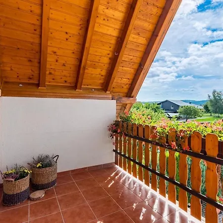 Apartment With Balcony In Harz Mountains