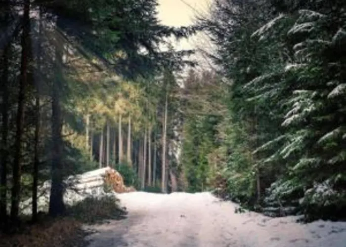 Daire Gemuetliche In