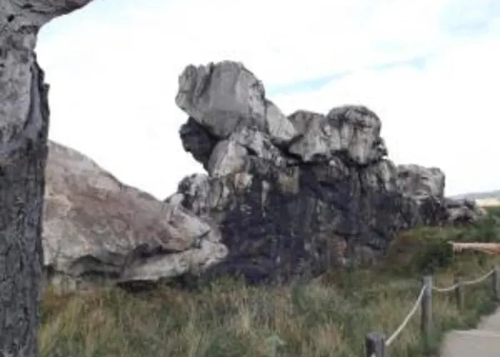 Daire Gemuetliche In Cattenstedt